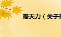 盖天力（关于盖天力的介绍）
