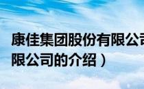 康佳集团股份有限公司（关于康佳集团股份有限公司的介绍）