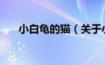 小白龟的猫（关于小白龟的猫的介绍）