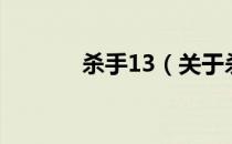 杀手13（关于杀手13的介绍）