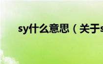 sy什么意思（关于sy什么意思的介绍）