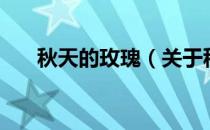 秋天的玫瑰（关于秋天的玫瑰的介绍）