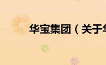 华宝集团（关于华宝集团的介绍）
