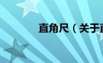 直角尺（关于直角尺的介绍）