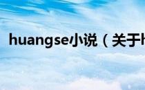 huangse小说（关于huangse小说的介绍）