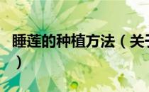 睡莲的种植方法（关于睡莲的种植方法的介绍）