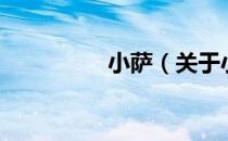 小萨（关于小萨的介绍）