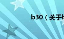 b30（关于b30的介绍）