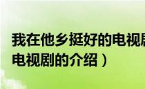 我在他乡挺好的电视剧（关于我在他乡挺好的电视剧的介绍）
