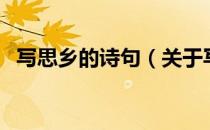 写思乡的诗句（关于写思乡的诗句的介绍）