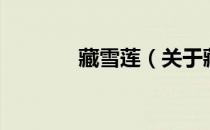 藏雪莲（关于藏雪莲的介绍）