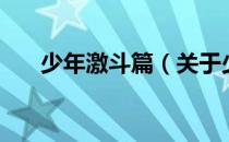 少年激斗篇（关于少年激斗篇的介绍）