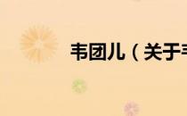 韦团儿（关于韦团儿的介绍）