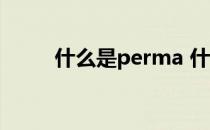 什么是perma 什么是Permanent