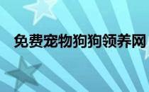 免费宠物狗狗领养网 免费领养宠物狗网站