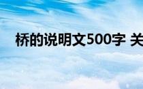 桥的说明文500字 关于桥的说明文600字