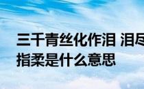 三千青丝化作泪 泪尽血干阎王心三千青丝绕指柔是什么意思