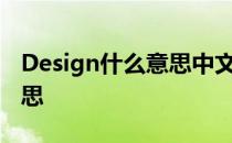 Design什么意思中文 designation是什么意思