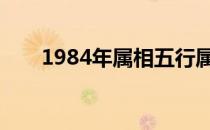 1984年属相五行属什么 1984年属相