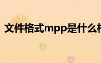 文件格式mpp是什么格式? mpp是什么格式