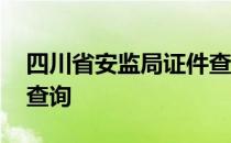 四川省安监局证件查询网址 四川安监局证件查询