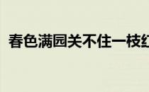 春色满园关不住一枝红杏出墙来的哲理意思