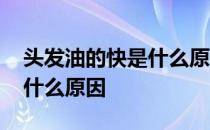 头发油的快是什么原因导致的 头发油的快是什么原因