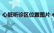 心脏听诊区位置图片 心脏听诊区位置及顺序