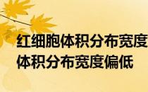 红细胞体积分布宽度偏低有什么影响 红细胞体积分布宽度偏低