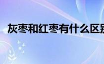 灰枣和红枣有什么区别? 灰枣和红枣的区别