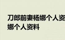 刀郎前妻杨娜个人资料现状如何 刀郎前妻杨娜个人资料