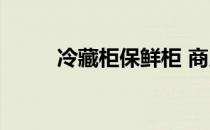 冷藏柜保鲜柜 商用 冷藏柜保鲜柜