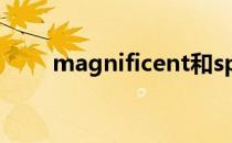 magnificent和spectacular的区别