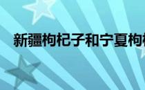 新疆枸杞子和宁夏枸杞子的区别 新疆枸杞