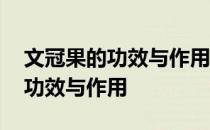 文冠果的功效与作用昌乐家政服务 文冠果的功效与作用