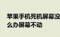 苹果手机死机屏幕没反应 苹果手机死机了怎么办屏幕不动