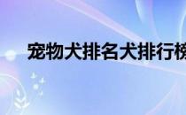 宠物犬排名犬排行榜前十名 宠物犬排名