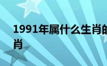 1991年属什么生肖的宝宝 1991年属什么生肖