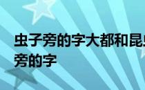 虫子旁的字大都和昆虫有关 鸟字旁的字 虫子旁的字