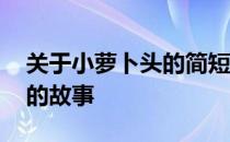 关于小萝卜头的简短故事 简单概述小萝卜头的故事