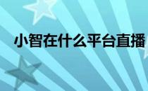 小智在什么平台直播 小智在哪个平台直播