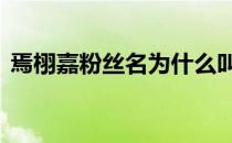 焉栩嘉粉丝名为什么叫加菲猫 焉栩嘉粉丝名