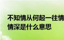 不知情从何起一往情深意思 情不知何起一往情深是什么意思