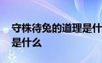 守株待兔的道理是什么简写 守株待兔的道理是什么