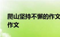 爬山坚持不懈的作文600字 爬山坚持不懈的作文