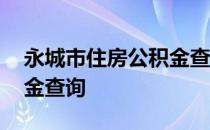 永城市住房公积金查询系统 永城市住房公积金查询