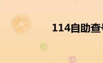 114自助查号平台 114