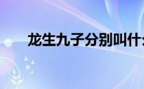 龙生九子分别叫什么和寓意 龙神九子