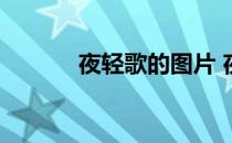 夜轻歌的图片 夜轻歌最新章节