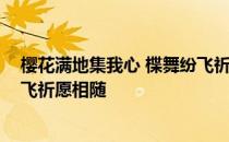 樱花满地集我心 楪舞纷飞祈相随 樱花满地集于我心楪舞纷飞祈愿相随